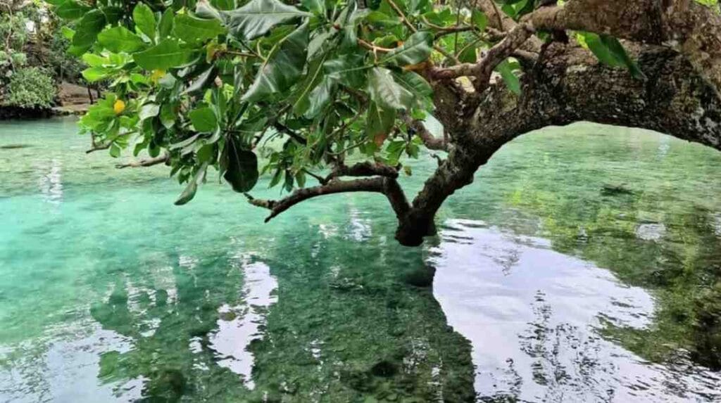 Vanuatu Takes Bold Climate Stand at World Court Amid Rising Seas